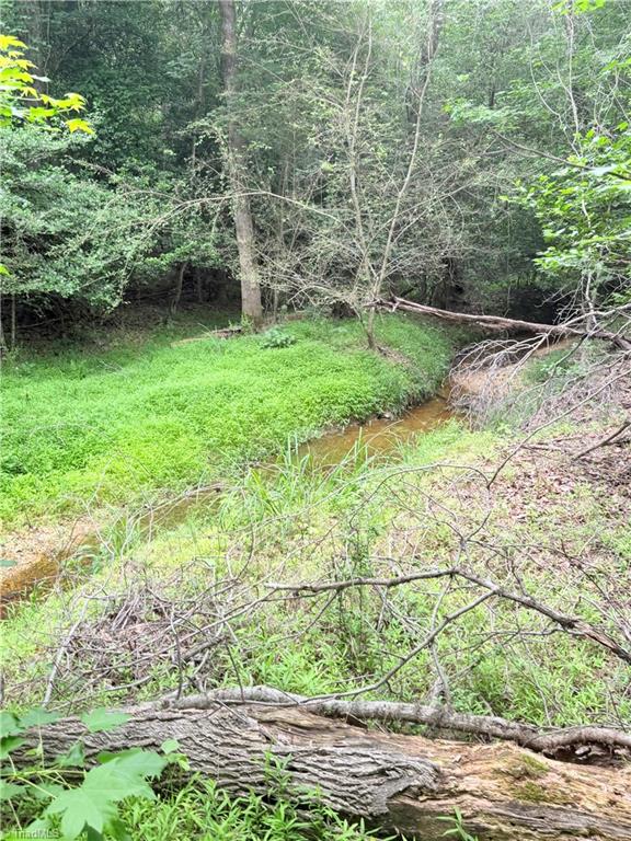 Tbd Tract A Tbd Tract A Bellview Road Robbins, NC 27325 - Photo 4 of 8