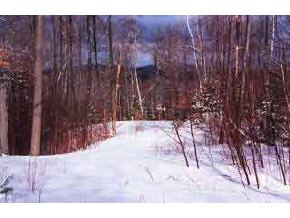 219 Bogue Road Weare, NH 03281 - Photo 1 of 1 Gallery Image 1