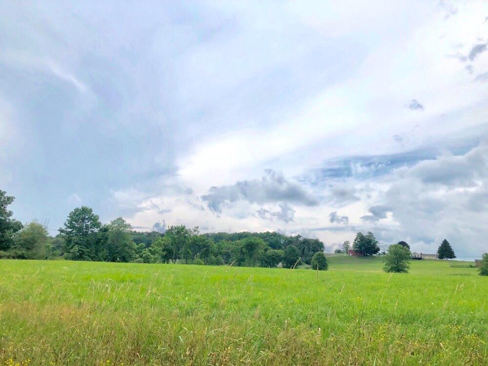 Bruyn Turnpike Wallkill, NY 12589 - Photo 1 of 1 a view of a big yard with a large trees