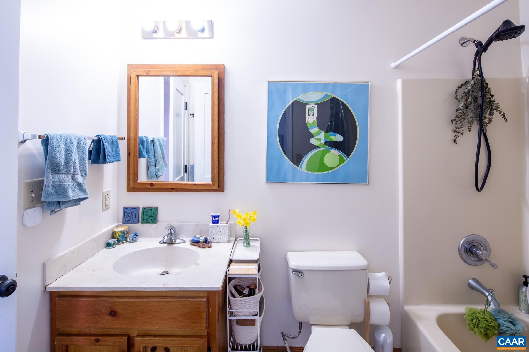 150 Buckingham Circle Charlottesville, VA 22903 - Photo 15 of 27 a bathroom with a sink mirror vanity and toilet