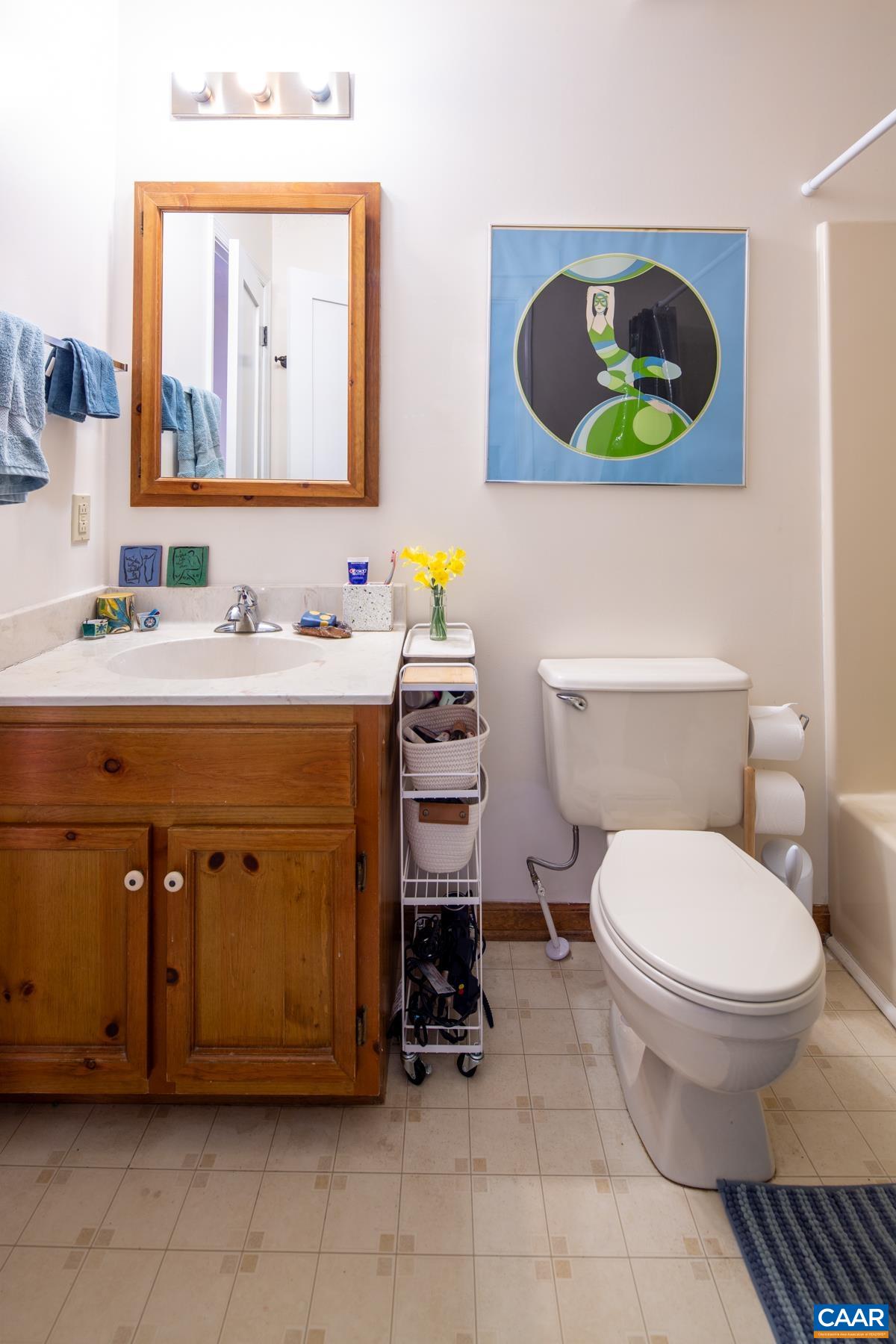 150 Buckingham Circle Charlottesville, VA 22903 - Photo 16 of 27 a bathroom with a toilet a sink and mirror