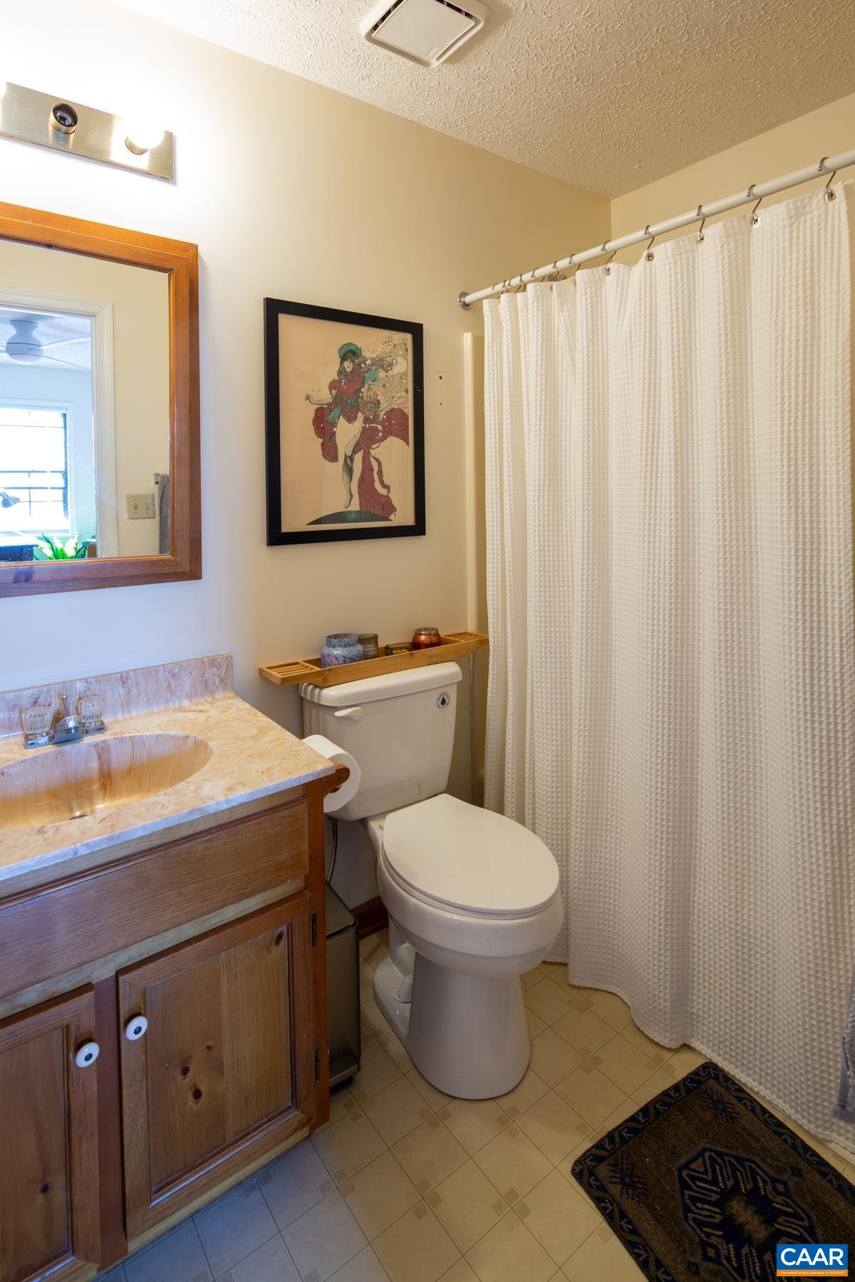 150 Buckingham Circle Charlottesville, VA 22903 - Photo 19 of 27 a bathroom with a toilet a sink and a mirror