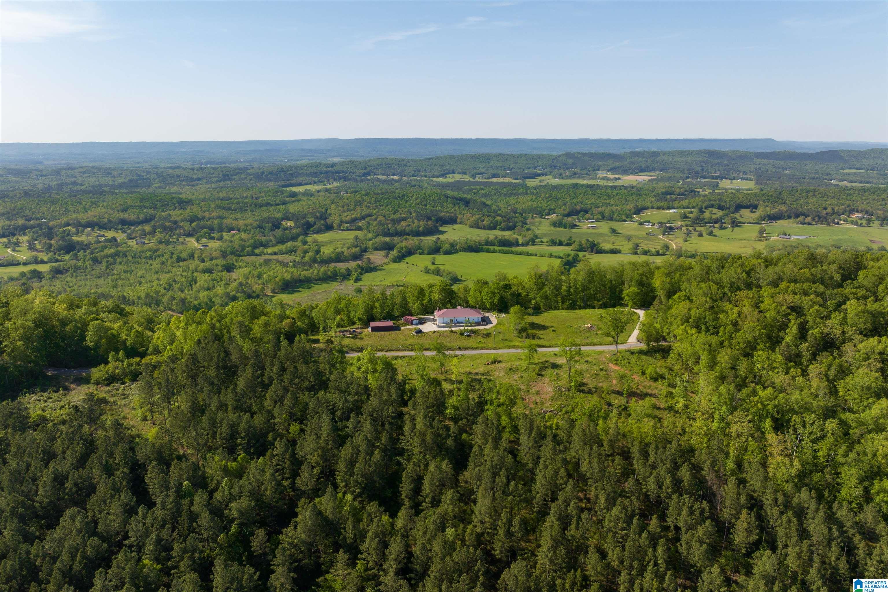 1905 Beaver Mountain Road Ashville, AL 35953 - Photo 40 of 48