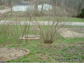 413 South Adams Street Athens, IL 62613 - Photo 8 of 9 Gallery Image 8