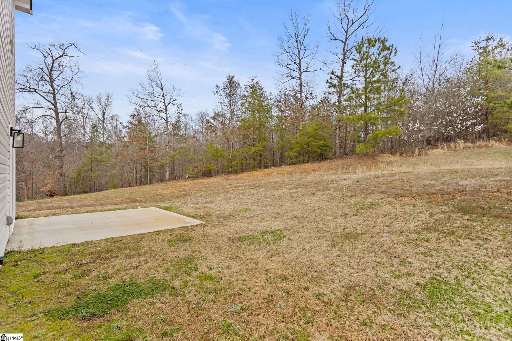 650 Duncan Station Drive Duncan, SC 29334 - Photo 30 of 30