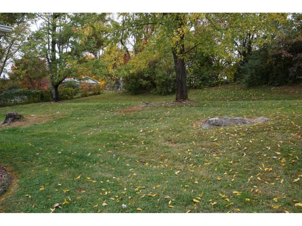 506 Ferndale Road Johnson City, TN 37604 - Photo 23 of 24 REAR FENCEDIN YARD