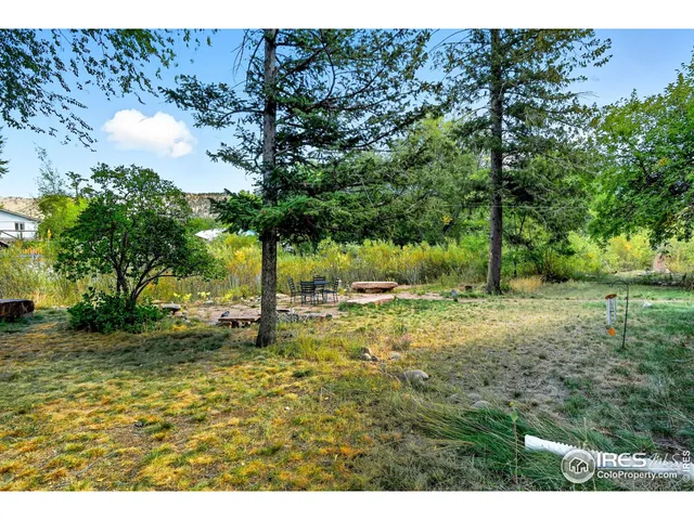 a view of a yard with a tree