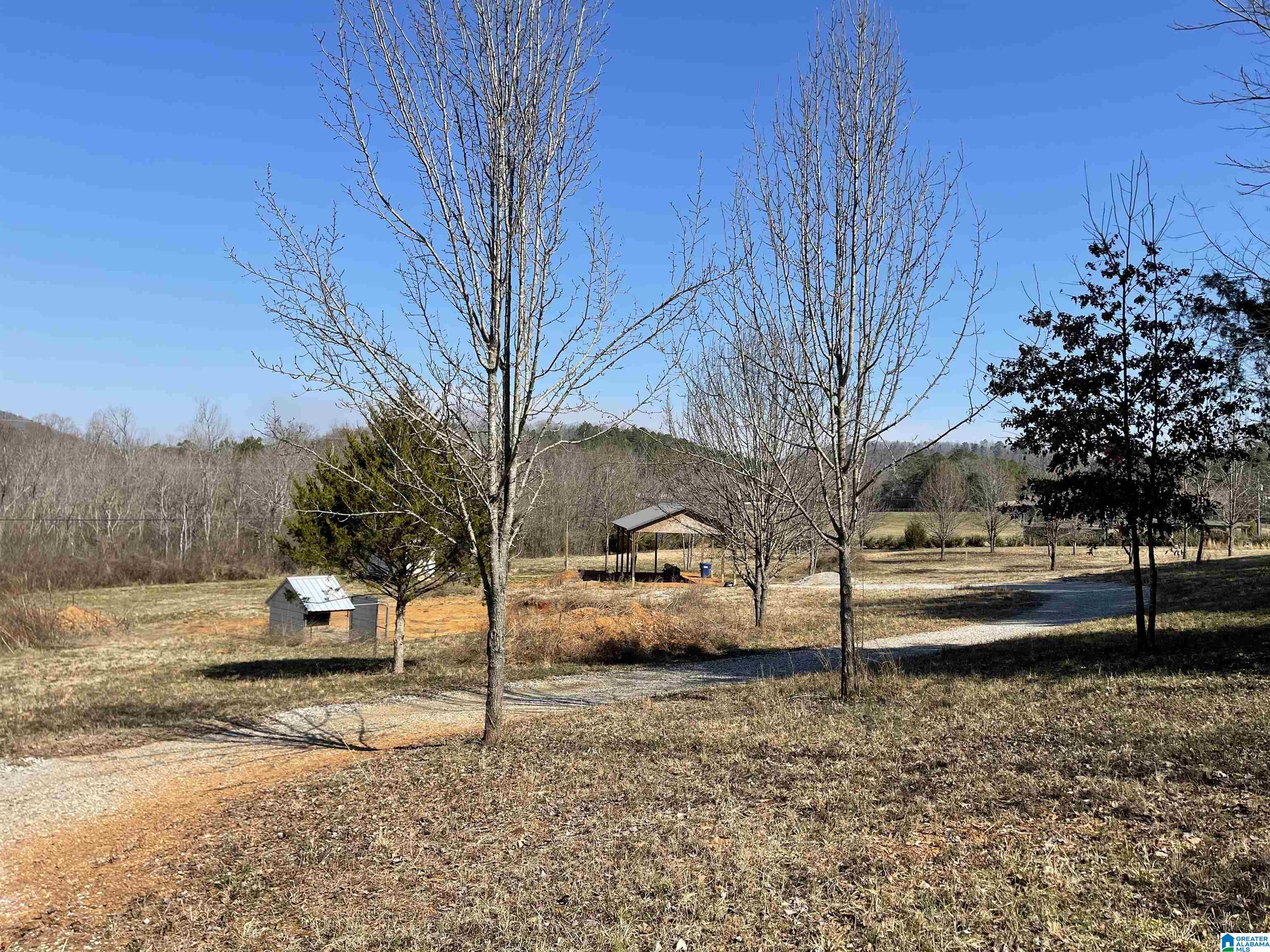 1619 Old Downing Ml Road Anniston, AL 36207 - Photo 5 of 15