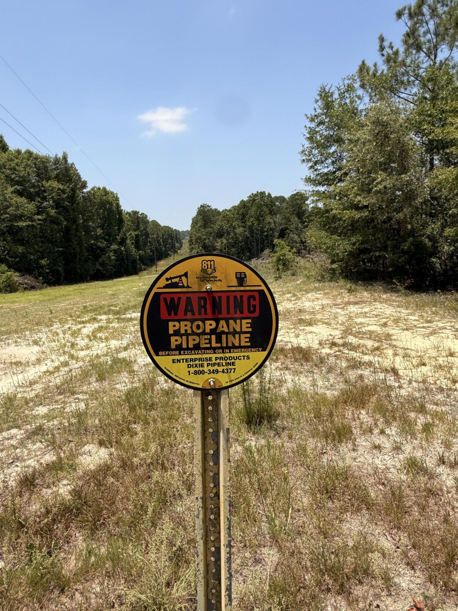 380 Windy Ridge Road Trenton, SC 29847 - Photo 26 of 34