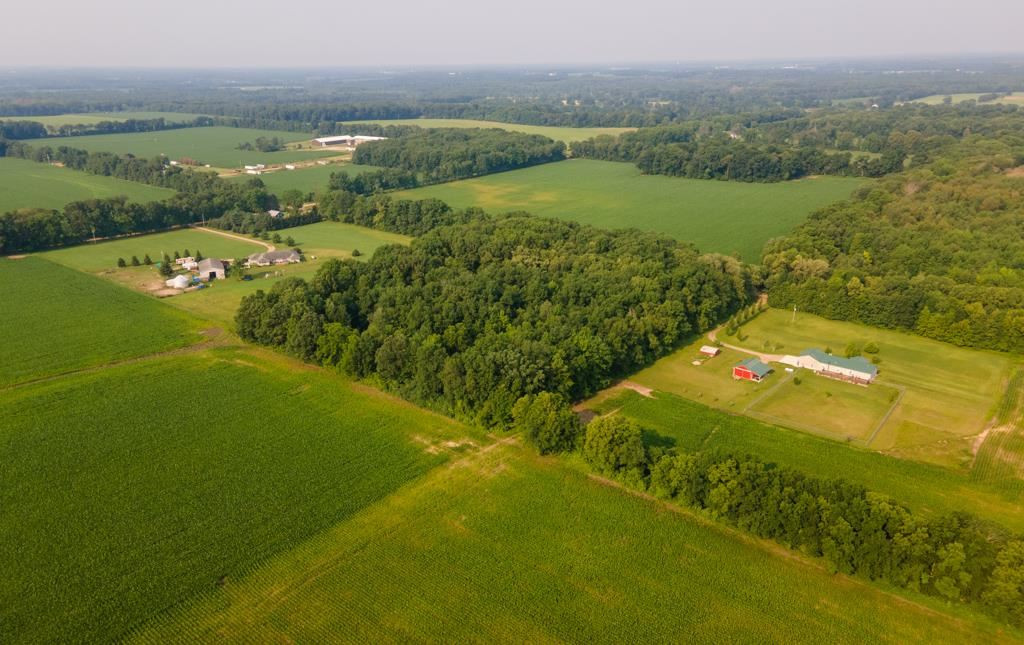 Goffe Road Jonesville, MI 49250 - Photo 11 of 12 Photo 11