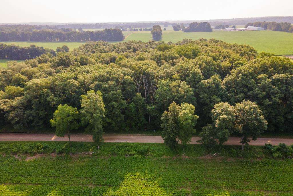 Goffe Road Jonesville, MI 49250 - Photo 2 of 12 Photo 2