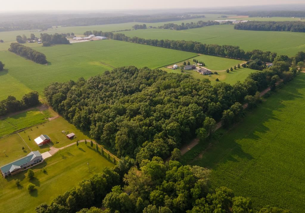 Goffe Road Jonesville, MI 49250 - Photo 4 of 12 Photo 4
