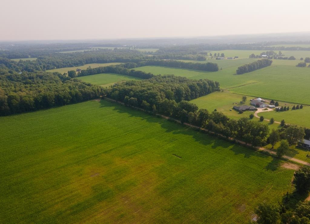Goffe Road Jonesville, MI 49250 - Photo 6 of 12 Photo 6