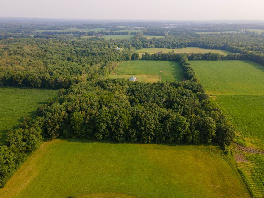 Goffe Road Jonesville, MI 49250 - Photo 7 of 12 Photo 7