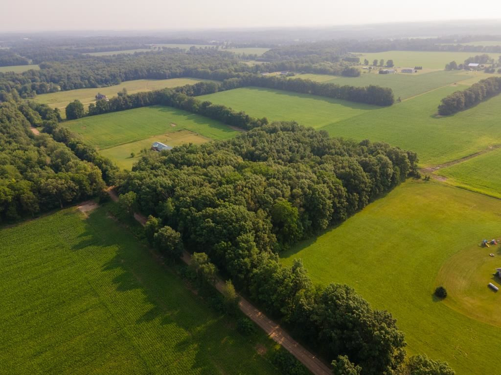 Goffe Road Jonesville, MI 49250 - Photo 8 of 12 Photo 8