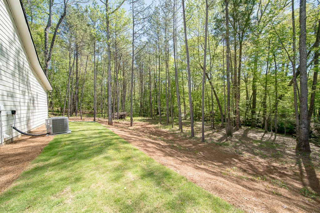 7230 Springbrook Drive Columbus, GA 31909 - Photo 46 of 49 side yard