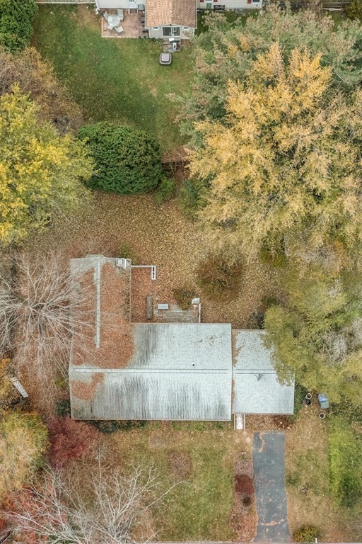 80 Embassy Road Springfield, MA 01119 - Photo 5 of 38 a view of outdoor space and yard