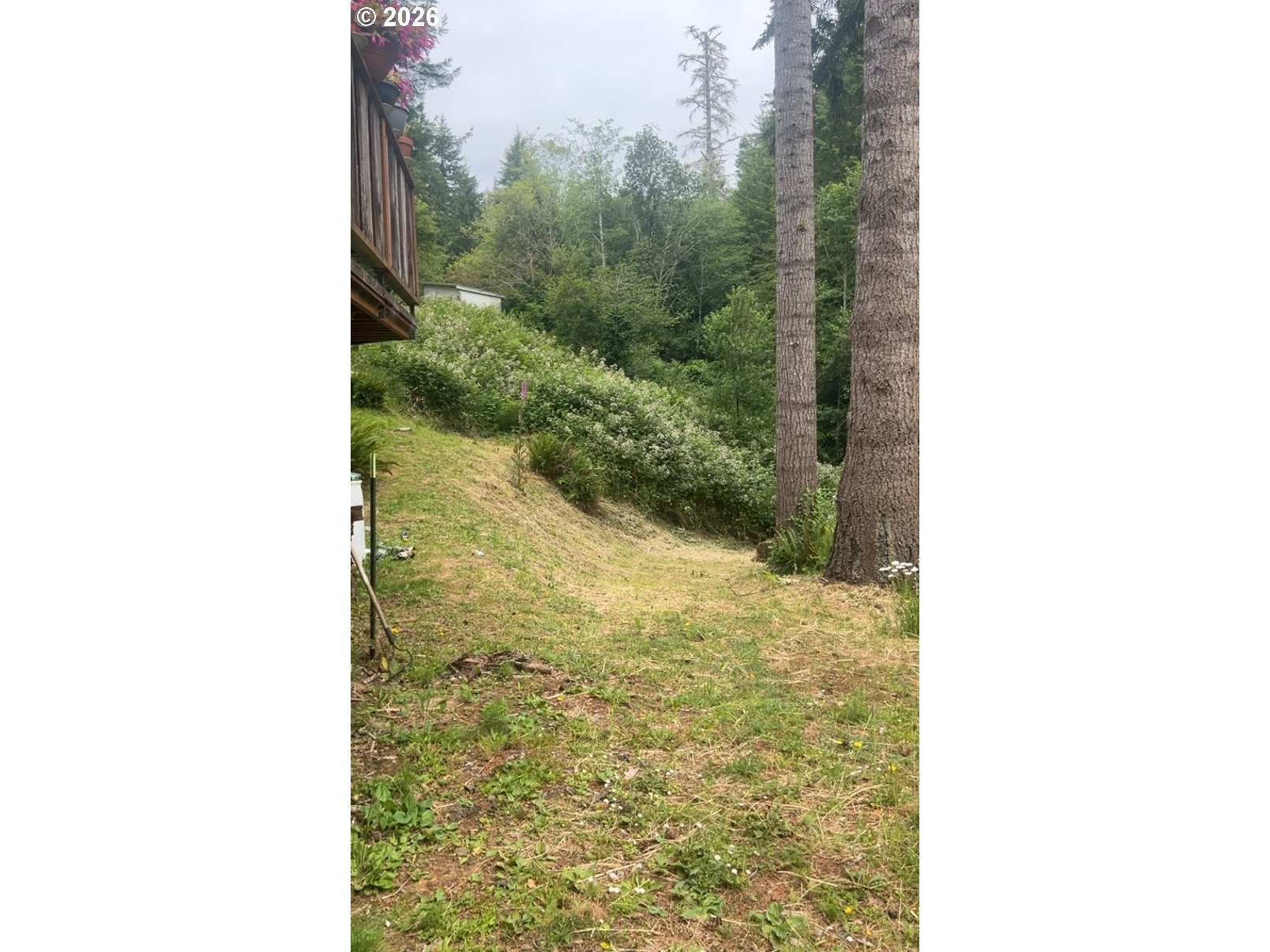 67535 North Bay Road North Bend, OR 97459 - Photo 7 of 9