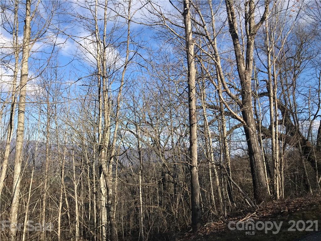 A Brandywine Road Waynesville, NC 28786 - Photo 5 of 6 a backyard of a house with lots of green space