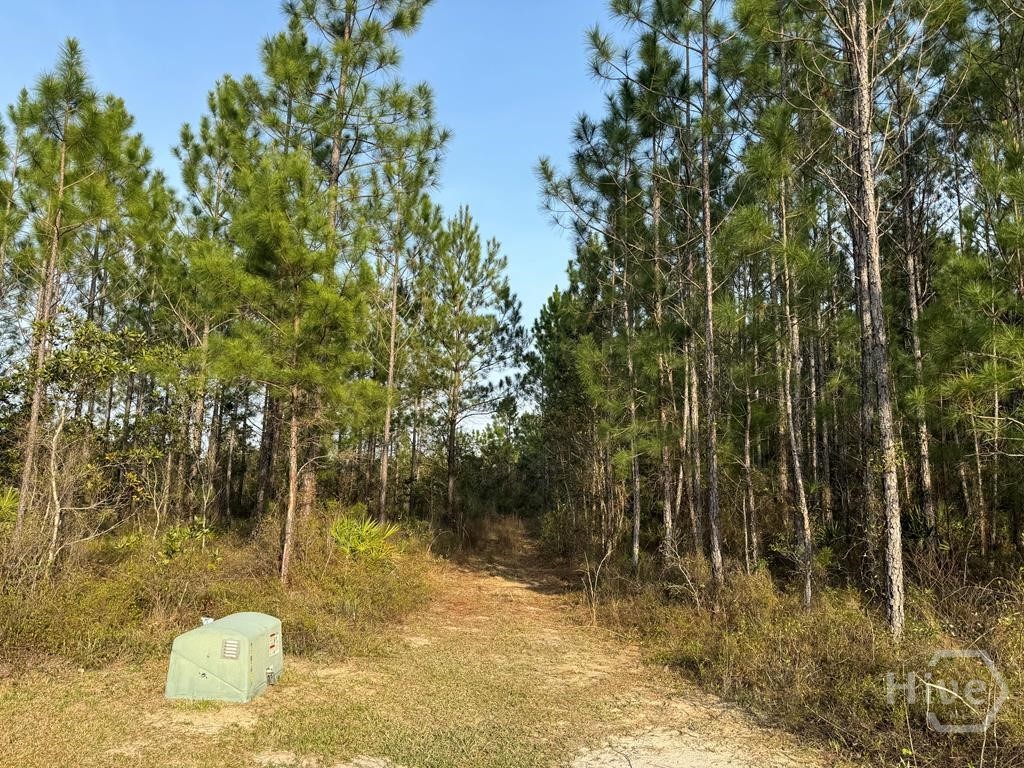 1139 Henry Wolcott Road Ludowici, GA 31316 - Photo 13 of 20