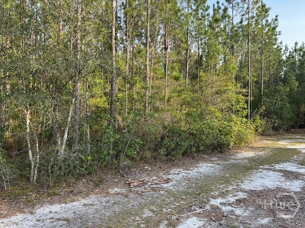 1139 Henry Wolcott Road Ludowici, GA 31316 - Photo 16 of 20