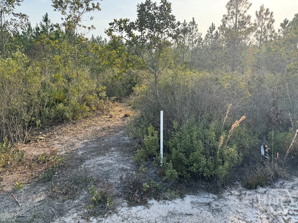 1139 Henry Wolcott Road Ludowici, GA 31316 - Photo 17 of 20