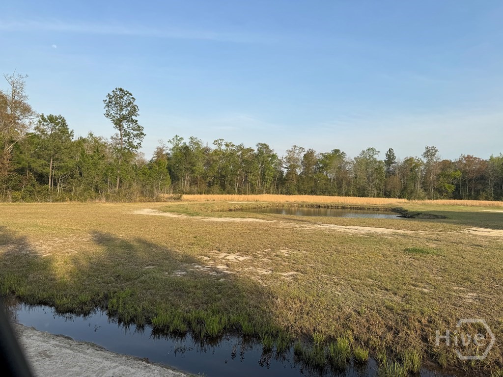 1139 Henry Wolcott Road Ludowici, GA 31316 - Photo 18 of 20