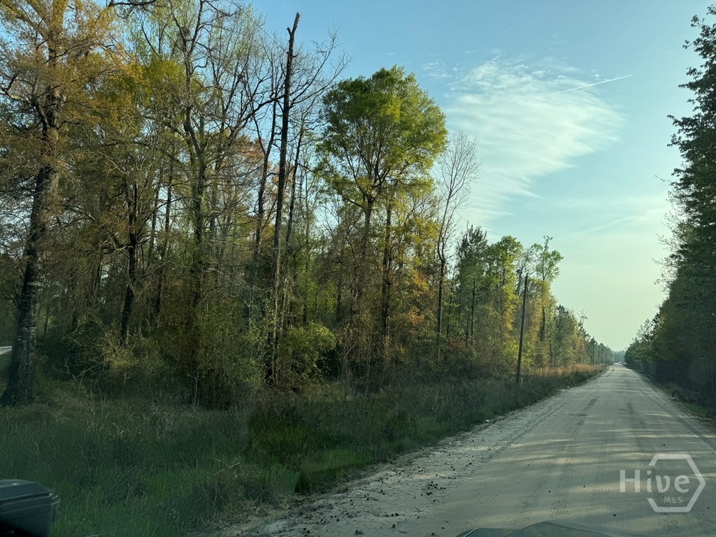 1139 Henry Wolcott Road Ludowici, GA 31316 - Photo 19 of 20