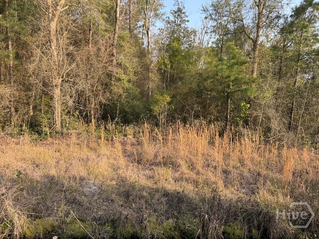 1139 Henry Wolcott Road Ludowici, GA 31316 - Photo 20 of 20