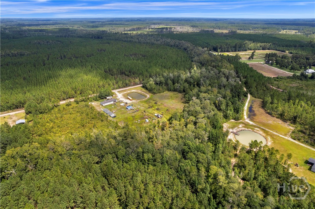 1139 Henry Wolcott Road Ludowici, GA 31316 - Photo 2 of 20