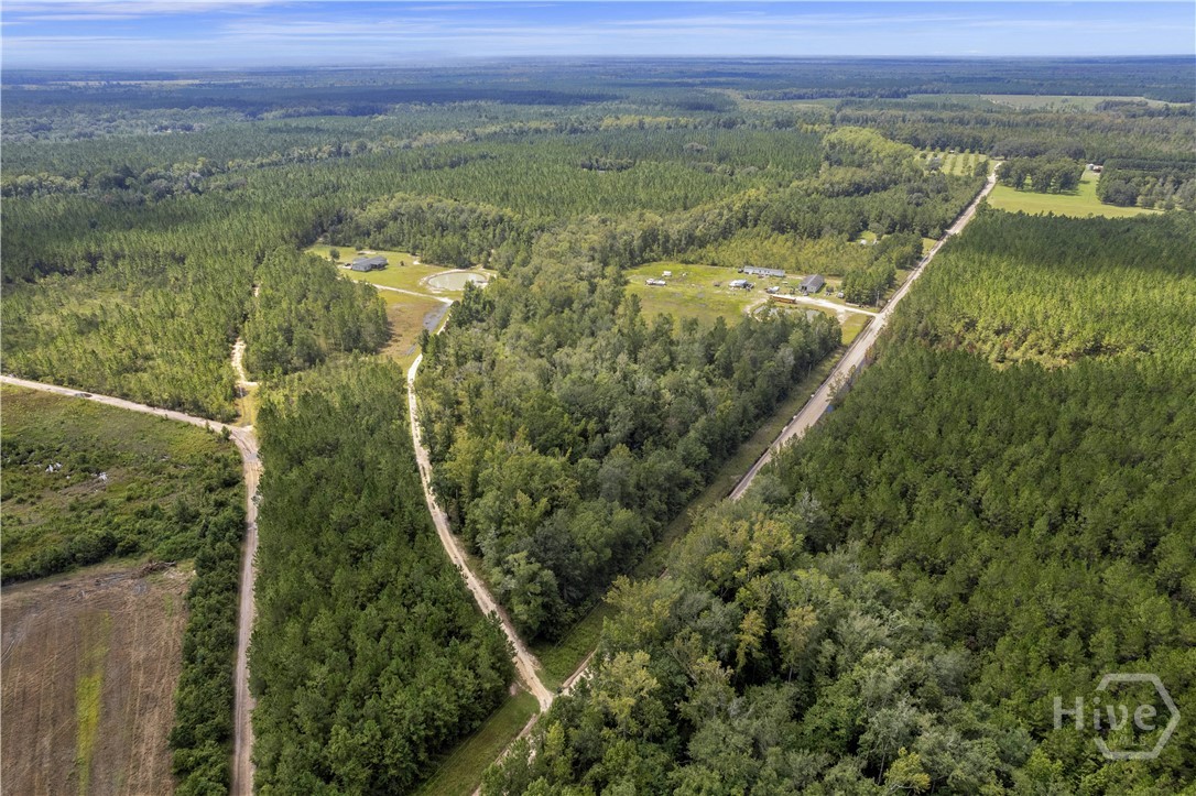 1139 Henry Wolcott Road Ludowici, GA 31316 - Photo 4 of 20