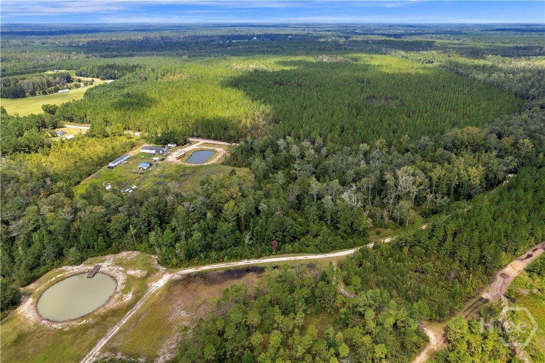 1139 Henry Wolcott Road Ludowici, GA 31316 - Photo 6 of 20