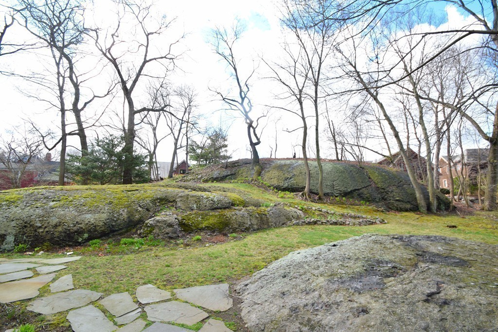 48 Robeson Street, Unit 2 Boston, MA 02130 - Photo 27 of 30 Gallery Image 27