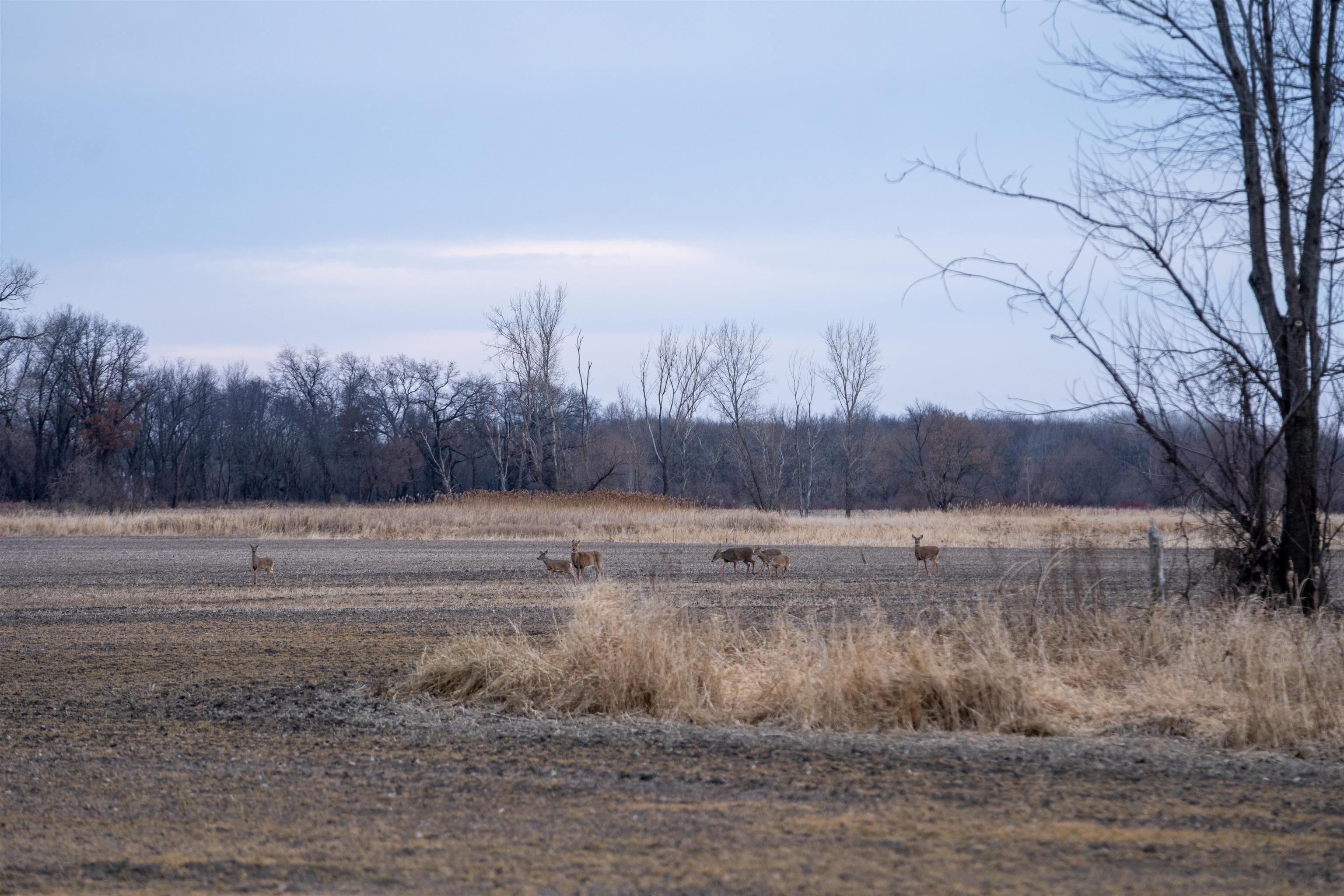 230-ac Old Stone Road Stoughton, WI 53589 - Photo 24 of 58