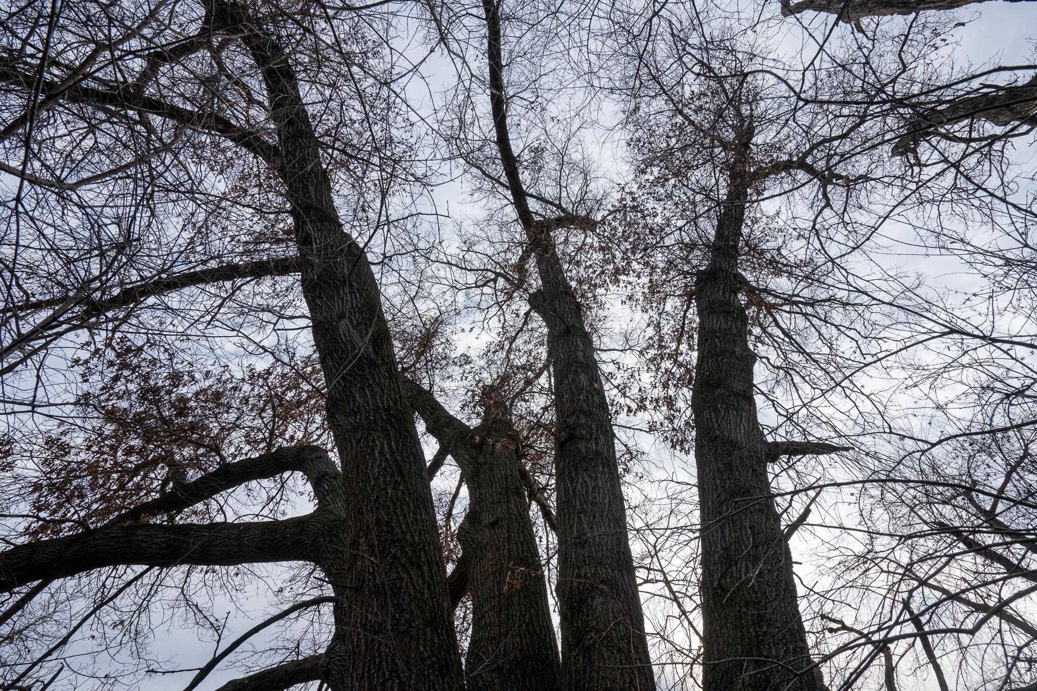 230-ac Old Stone Road Stoughton, WI 53589 - Photo 52 of 58