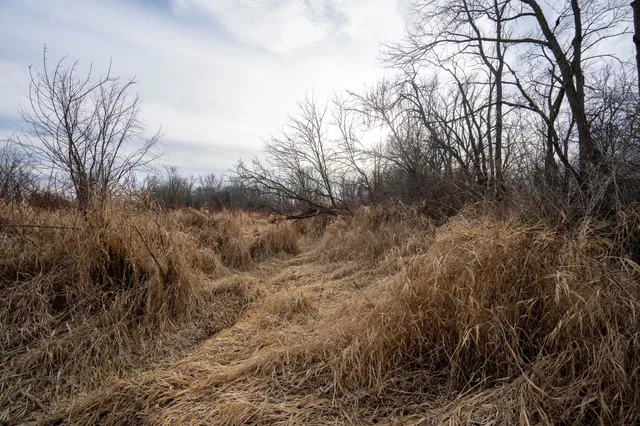 $3,500,000 | 230-ac Old Stone Road, Stoughton, WI 53589