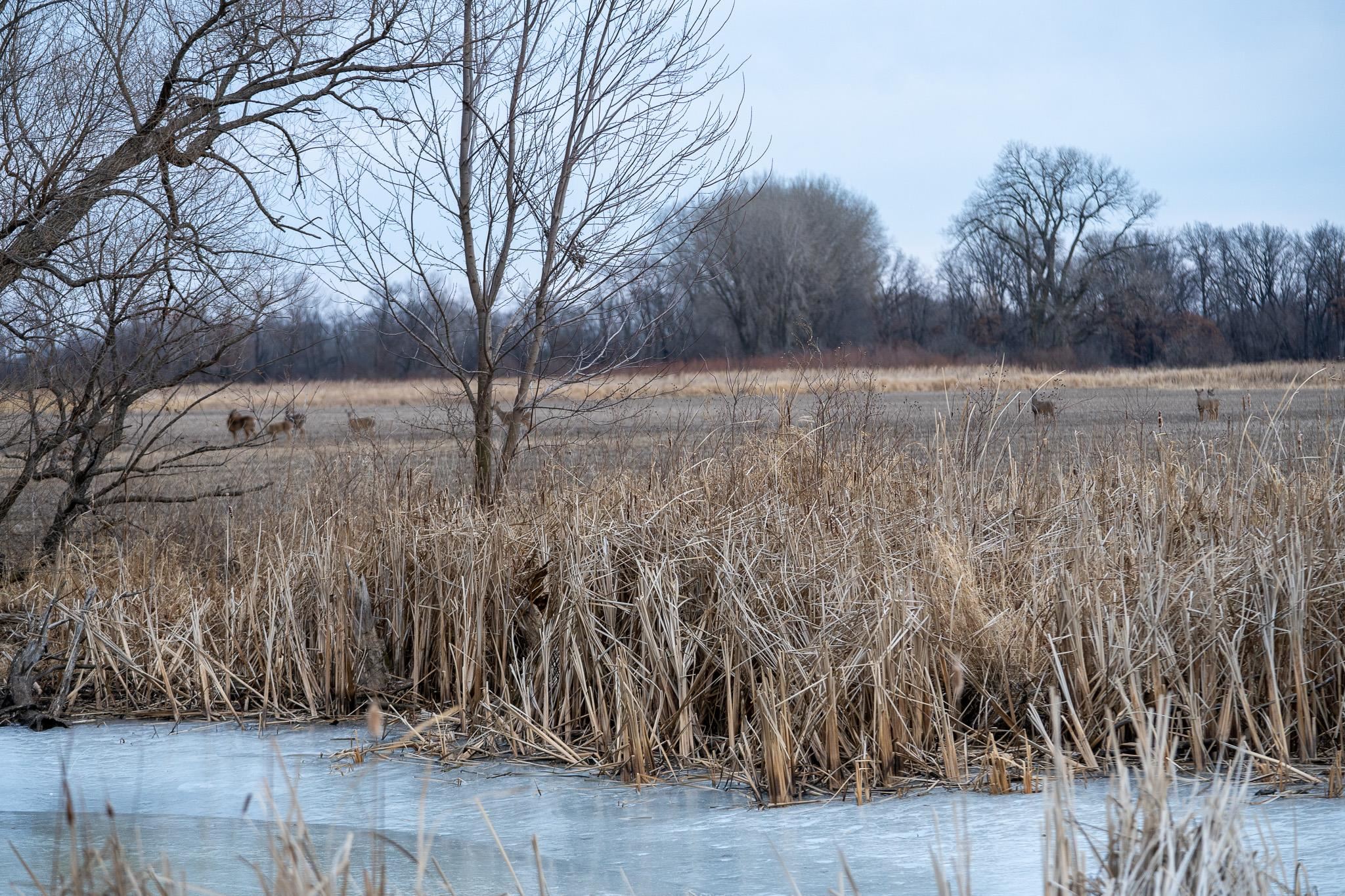 230-ac Old Stone Road Stoughton, WI 53589 - Photo 57 of 58
