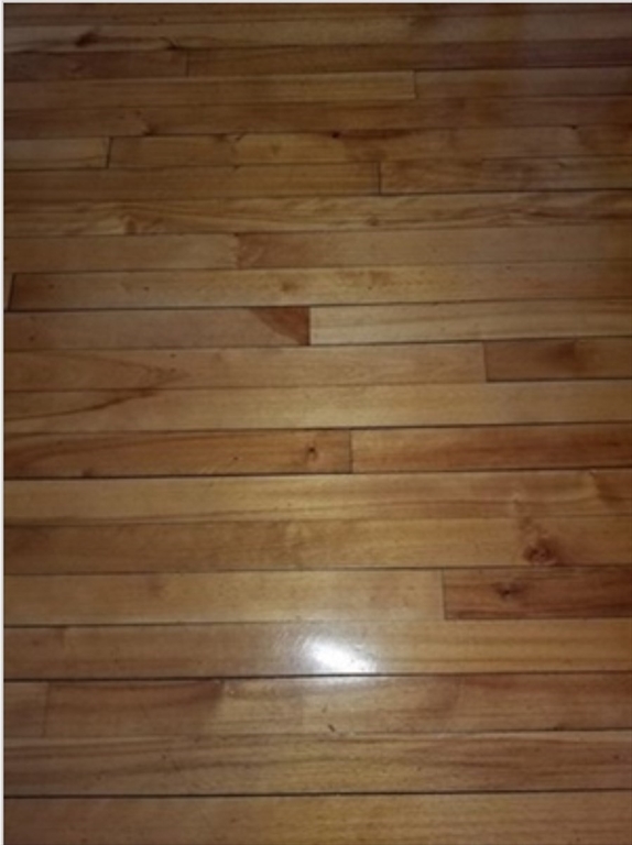 125 Hamilton Street, Unit 2 Worcester, MA 01604 - Photo 5 of 14