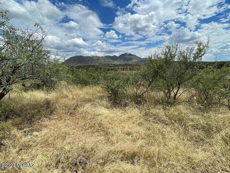 1814 Circulo Corona, Unit 75 Rio Rico, AZ 85648 - Photo 3 of 4