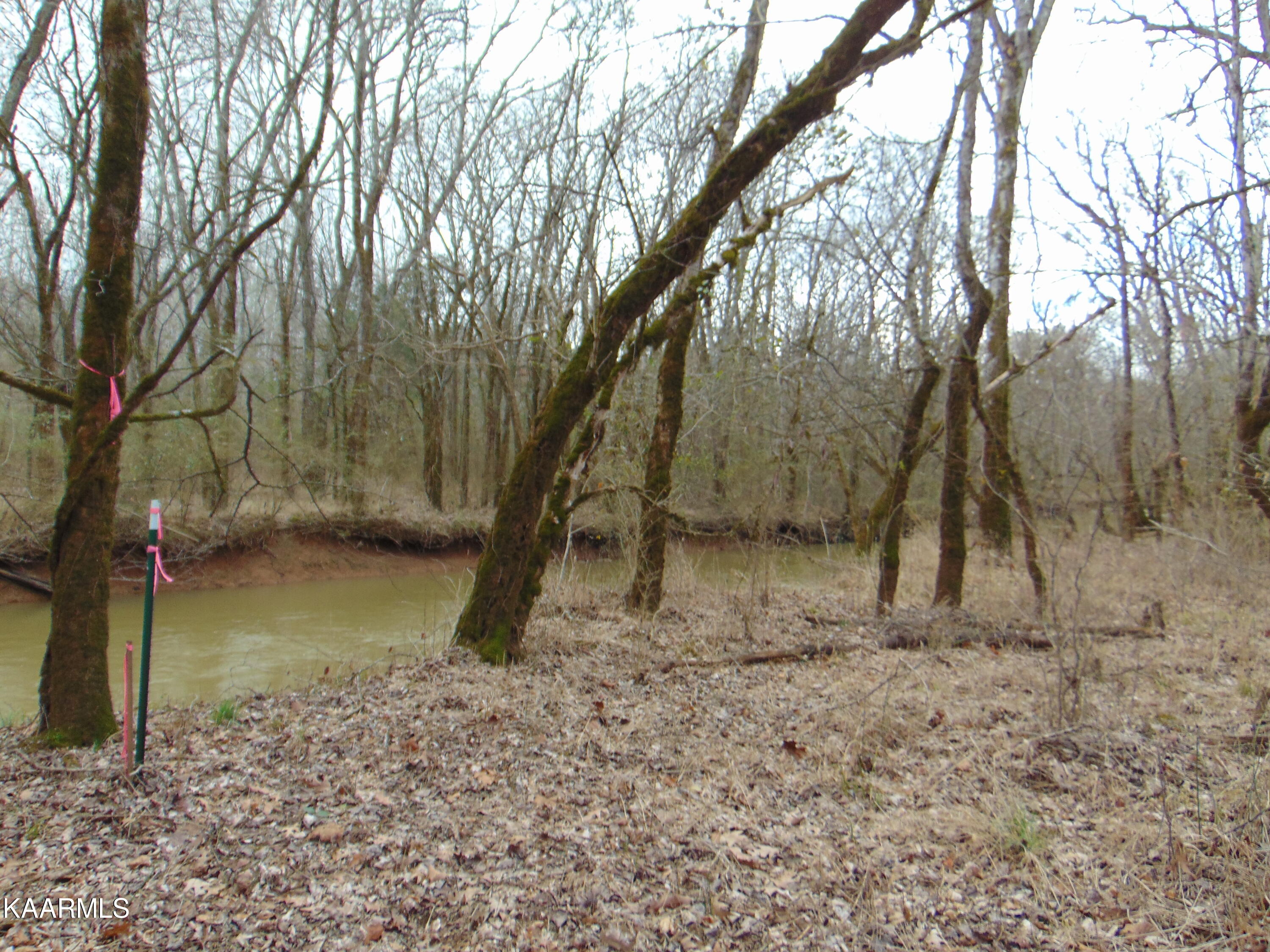 11 Athens Road Calhoun, TN 37309 - Photo 18 of 59 DSC02389