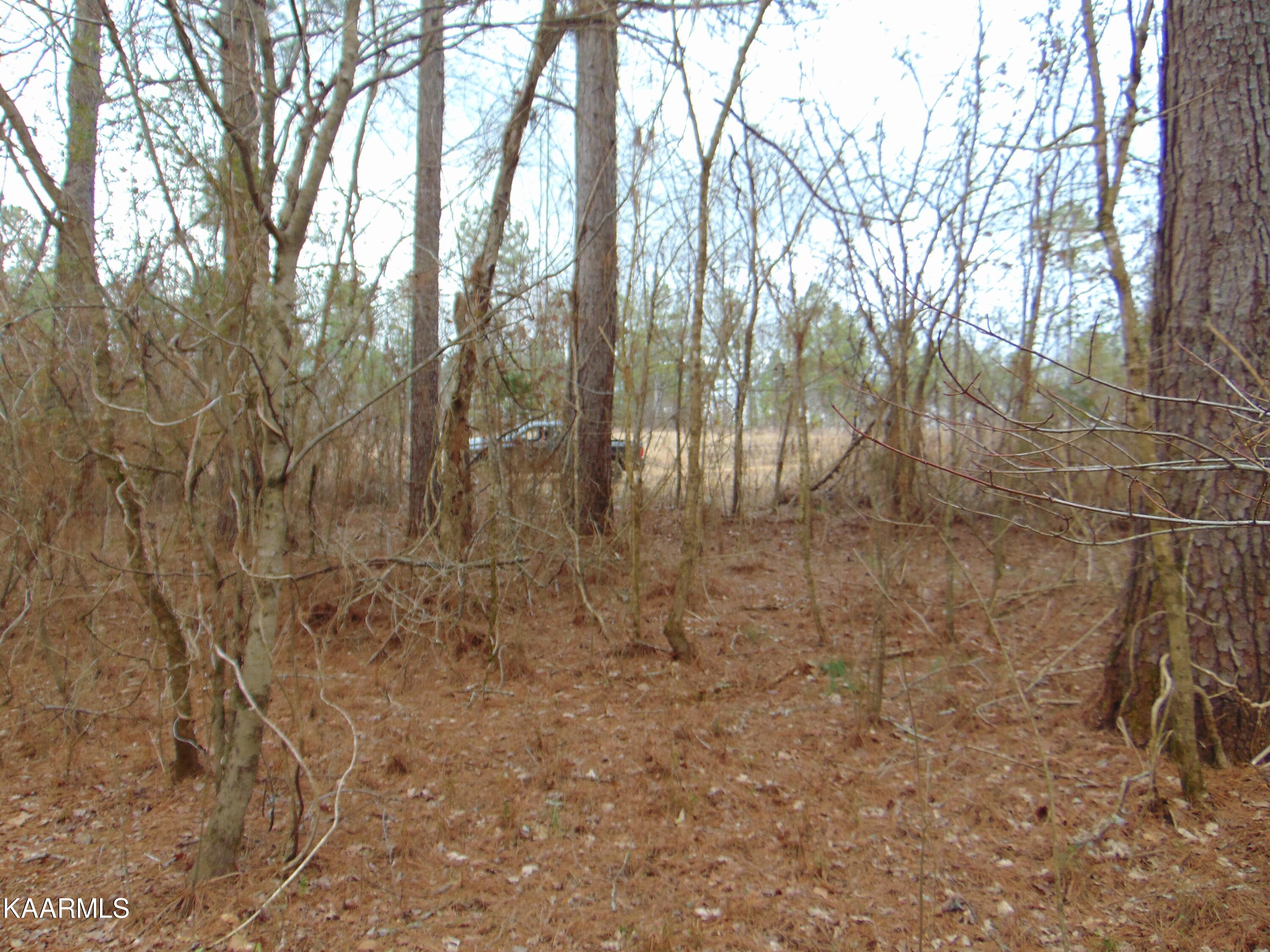 11 Athens Road Calhoun, TN 37309 - Photo 23 of 59 DSC02396