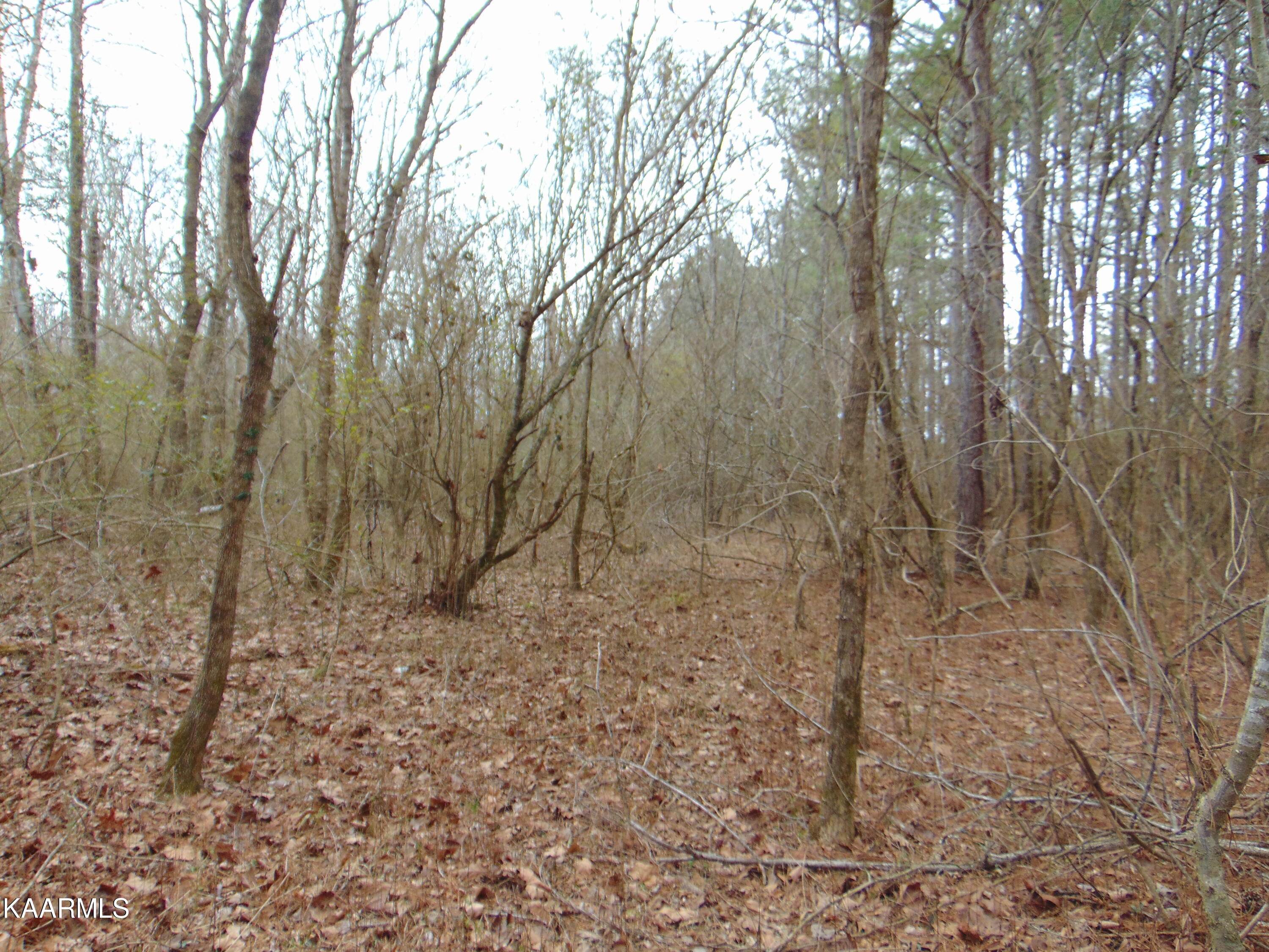 11 Athens Road Calhoun, TN 37309 - Photo 24 of 59 DSC02398
