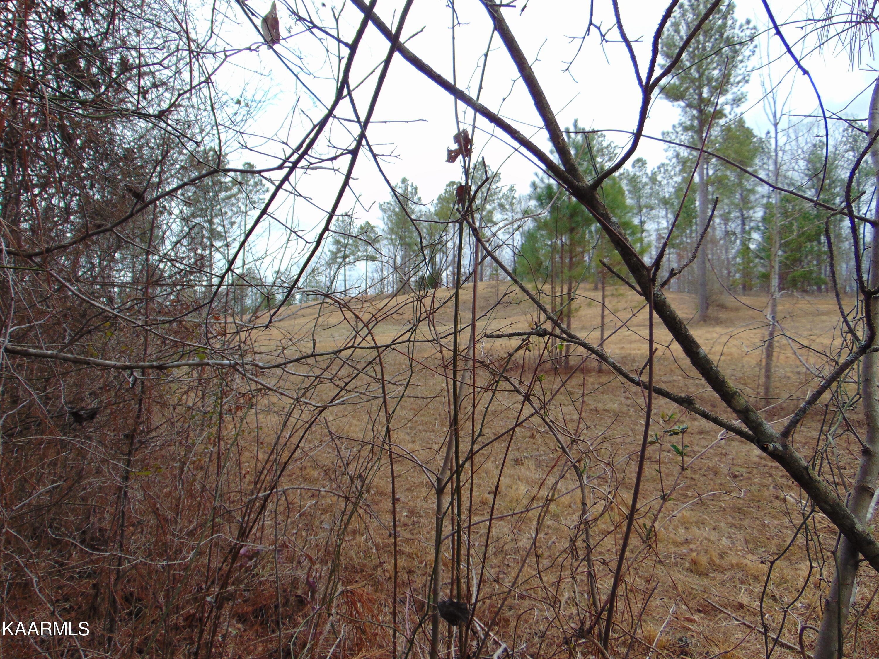 11 Athens Road Calhoun, TN 37309 - Photo 28 of 59 DSC02406