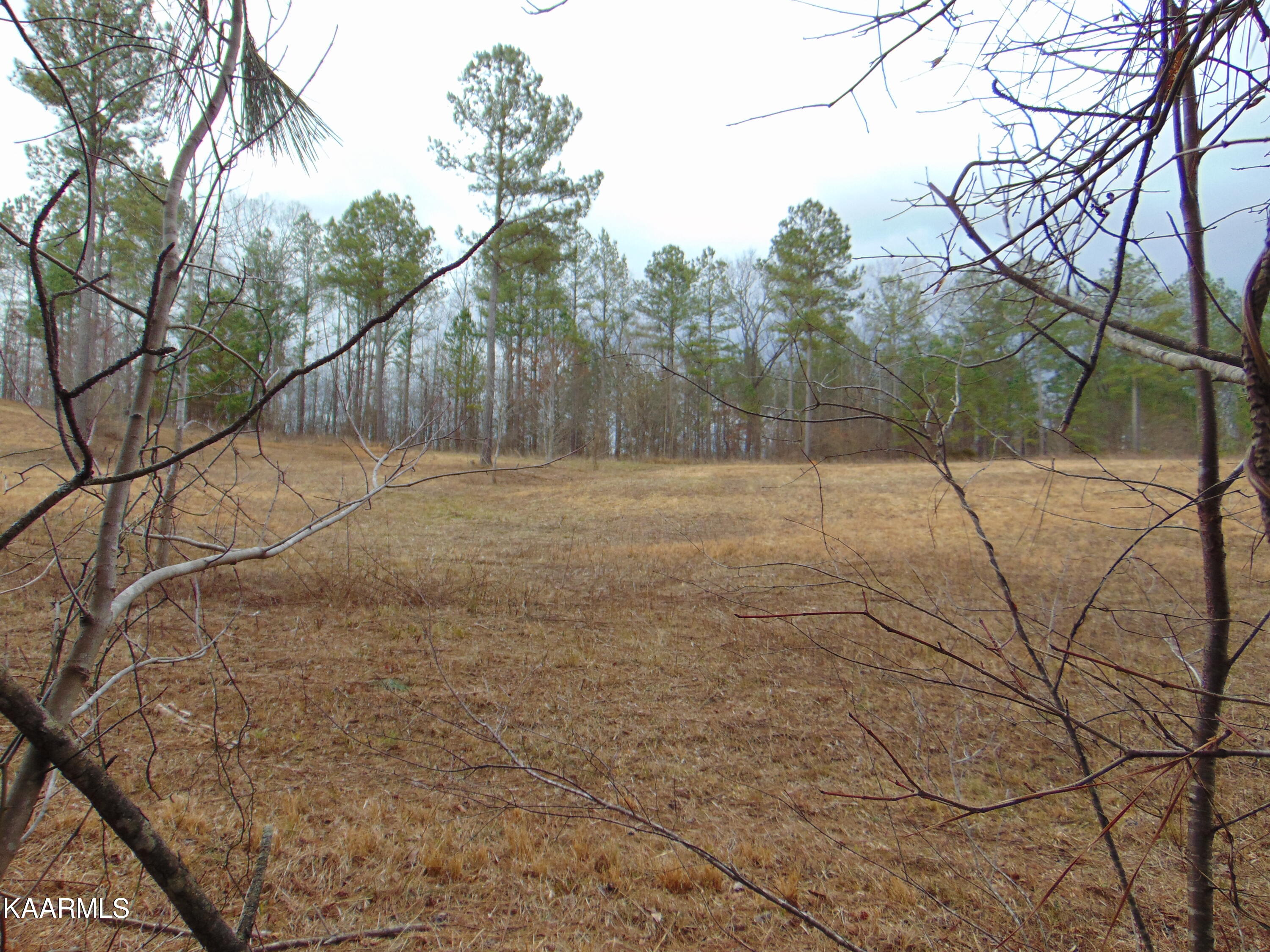 11 Athens Road Calhoun, TN 37309 - Photo 29 of 59 DSC02407