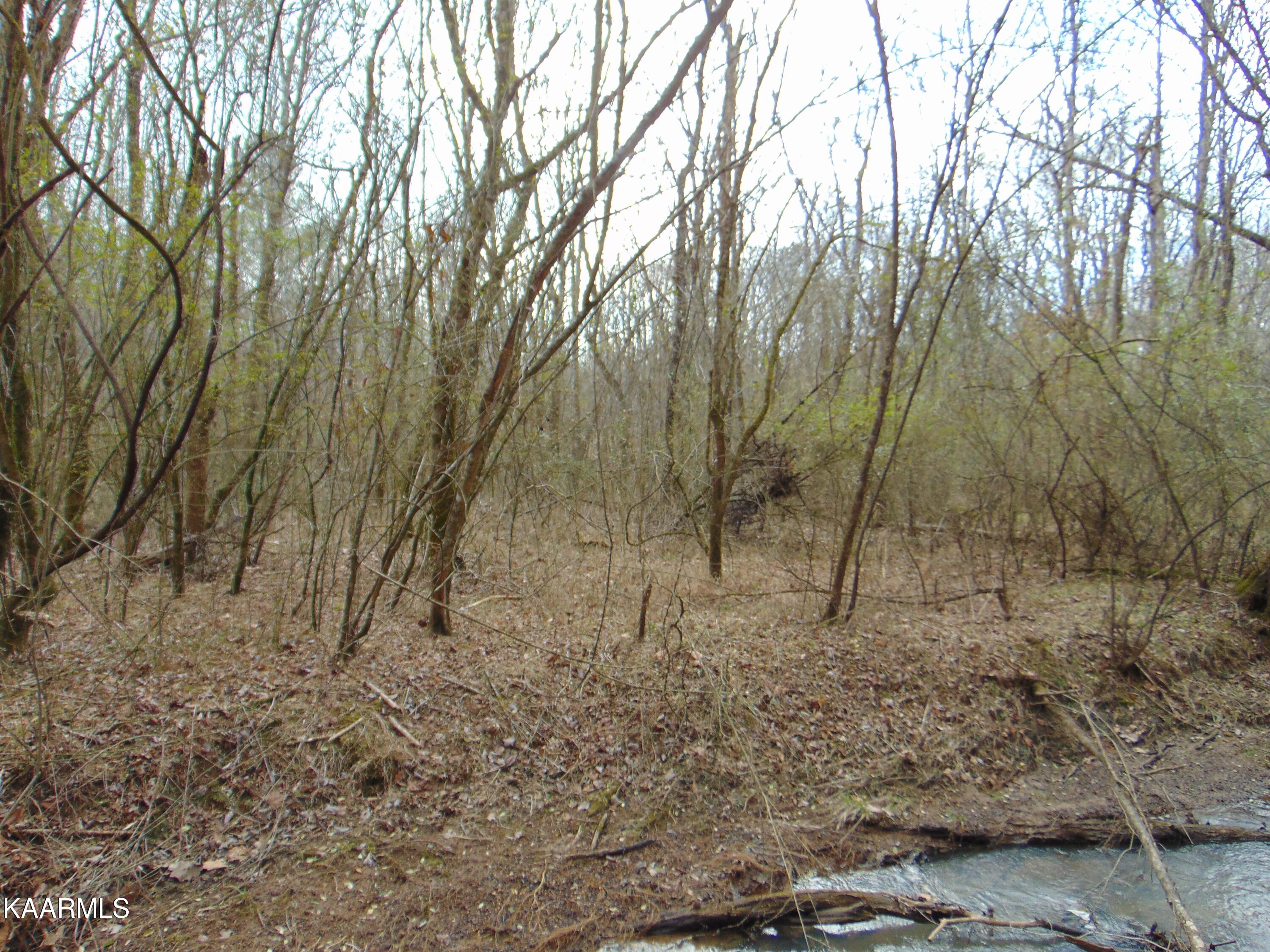 11 Athens Road Calhoun, TN 37309 - Photo 31 of 59 DSC02409