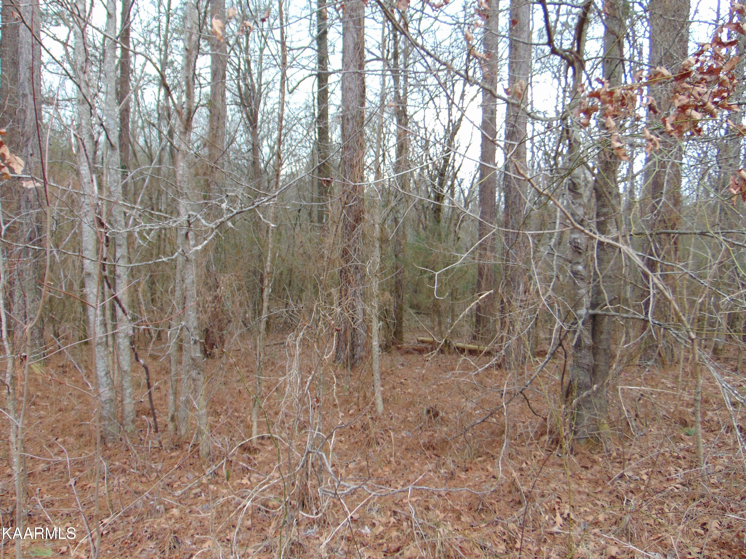 11 Athens Road Calhoun, TN 37309 - Photo 32 of 59 DSC02410