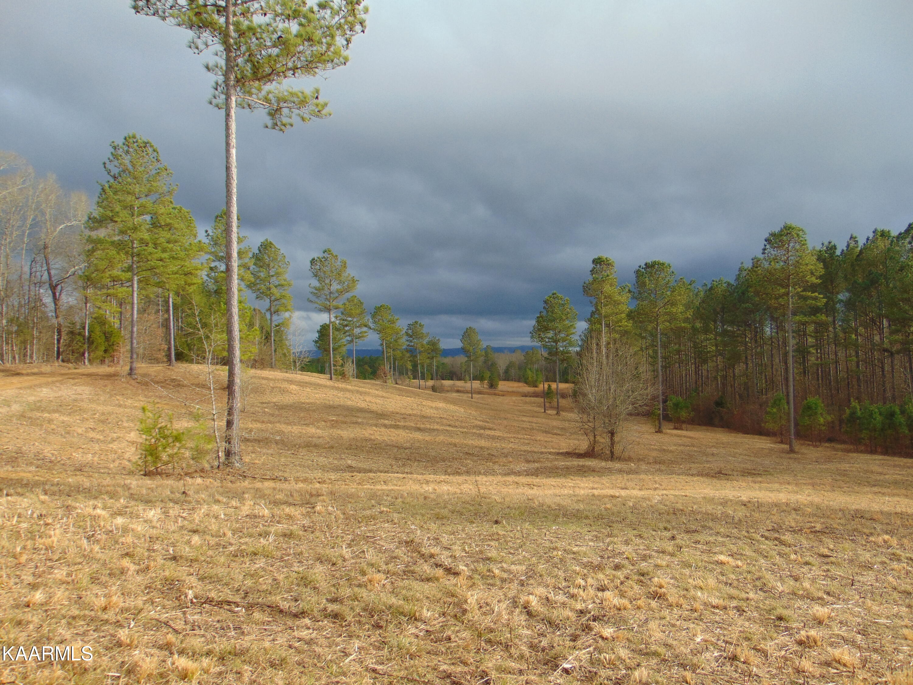 11 Athens Road Calhoun, TN 37309 - Photo 34 of 59 DSC02414