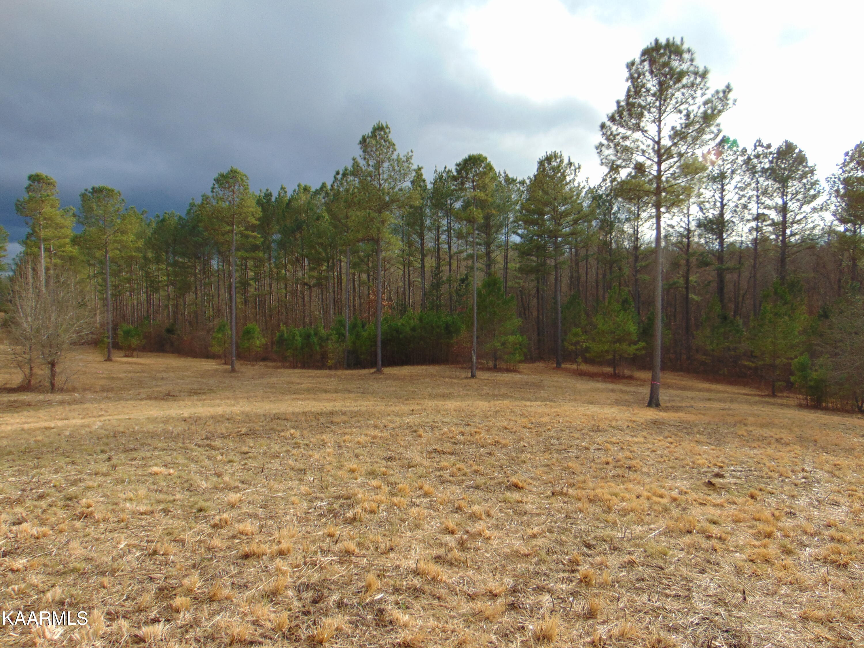 11 Athens Road Calhoun, TN 37309 - Photo 35 of 59 DSC02415