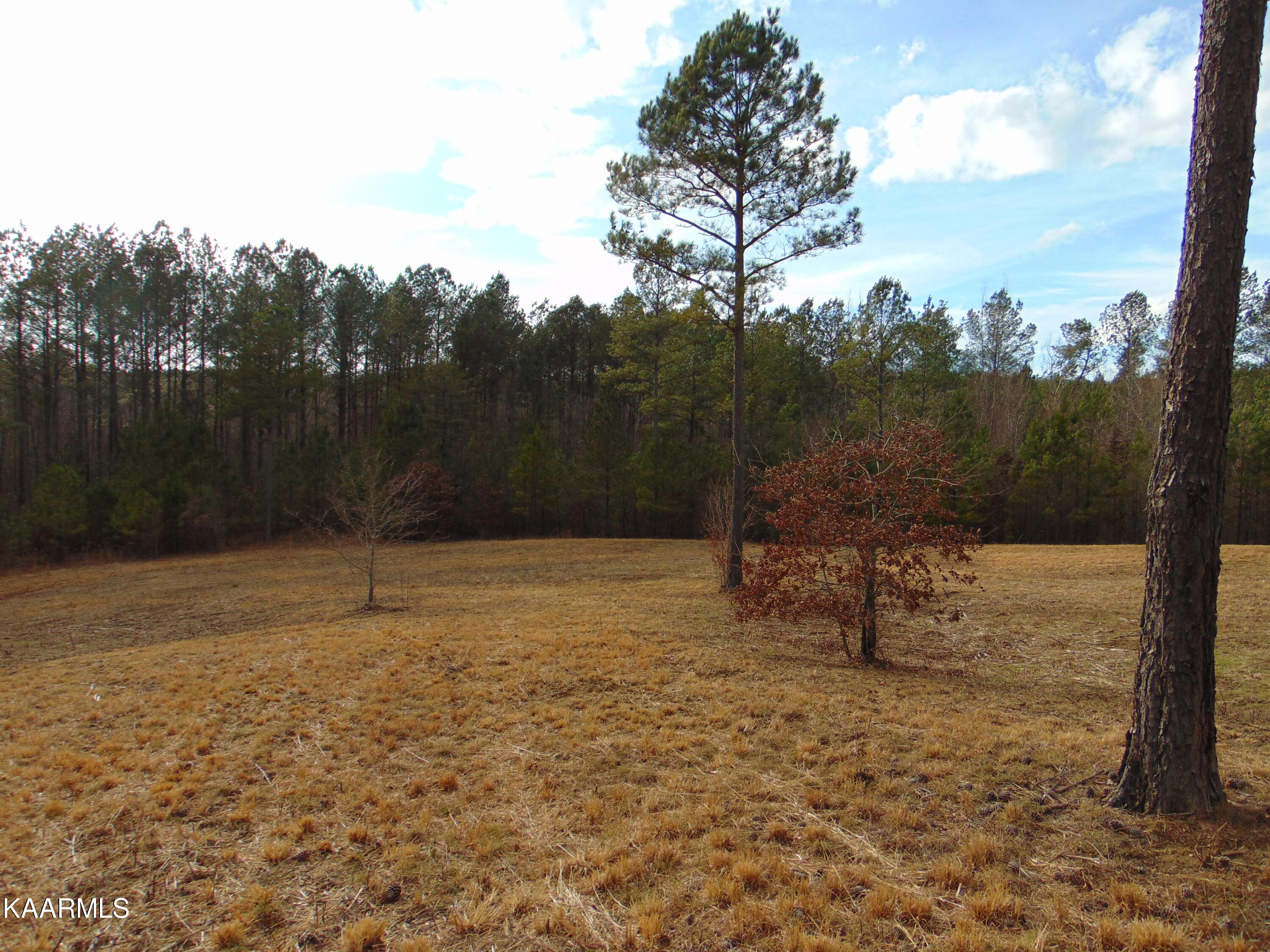 11 Athens Road Calhoun, TN 37309 - Photo 36 of 59 DSC02416