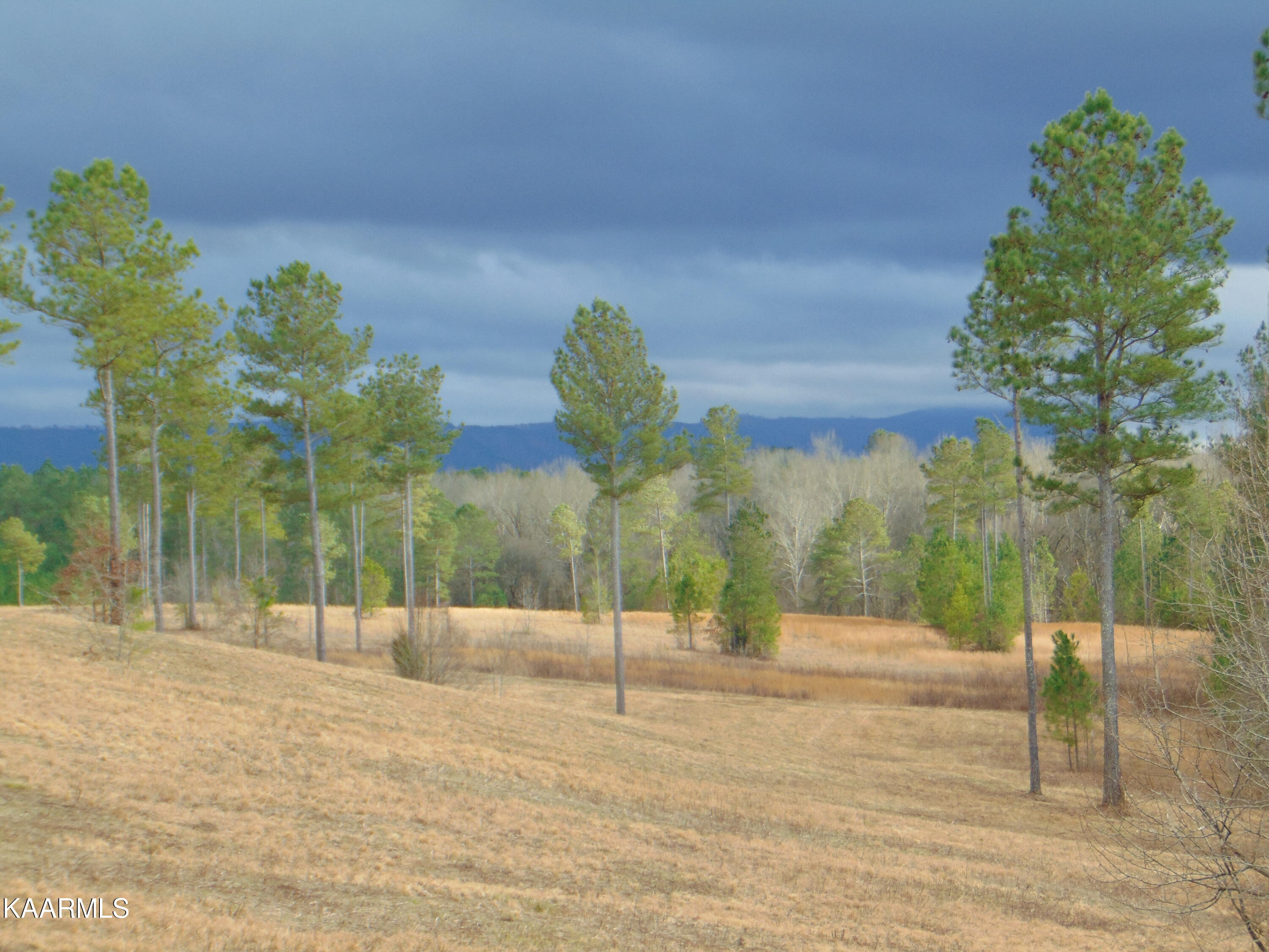 11 Athens Road Calhoun, TN 37309 - Photo 38 of 59 DSC02418